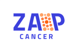 ZAP Cancer Workshops at IPBS : Advancing European Cooperation and Cancer Research