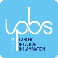 logo-ipbs