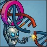 Ajuster pour mieux souder : la fonction des ADN polymérases pour réparer les cassures double-brin de l’ADN