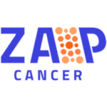 Workshops ZAP Cancer à l’IPBS : Faire avancer la recherche sur le cancer et développer la coopération européenne 