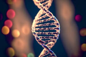 The Werner protein, guardian of the genome: a helping hand for its repair function